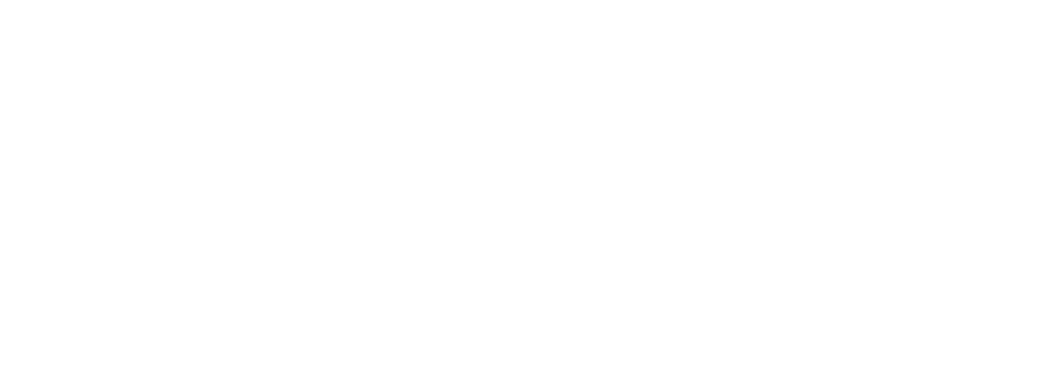 NIU Logo